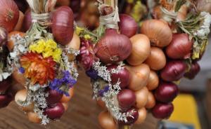 Bern-Onion-Market-02