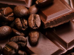 cafe-chocolate-fest-a