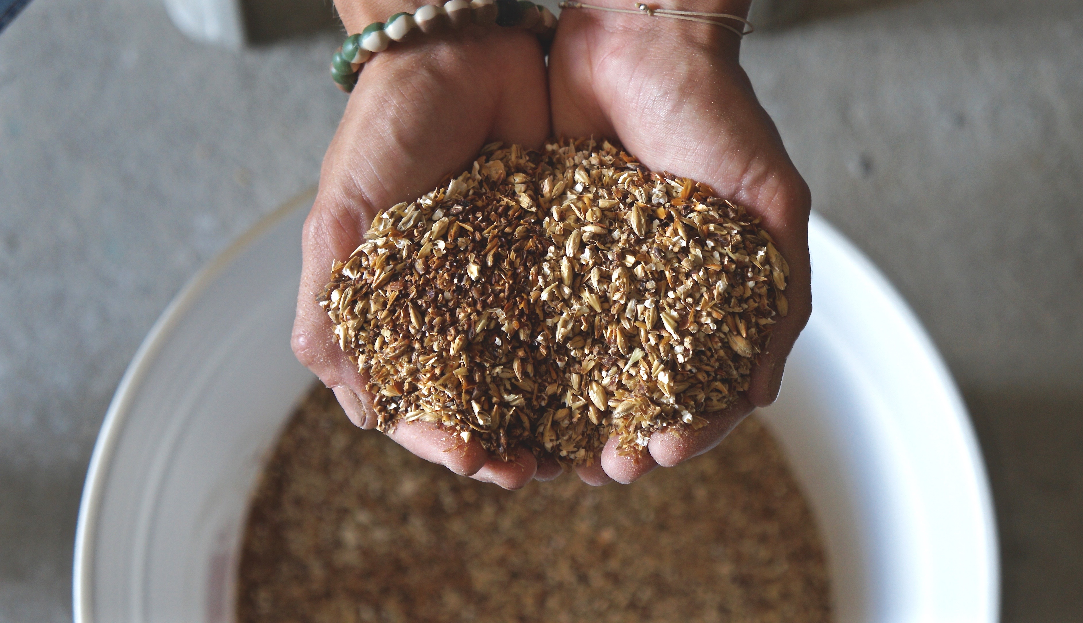 Dos amigas y empresarias se unen para crear cerveceria artesanal en Cabo Rojo